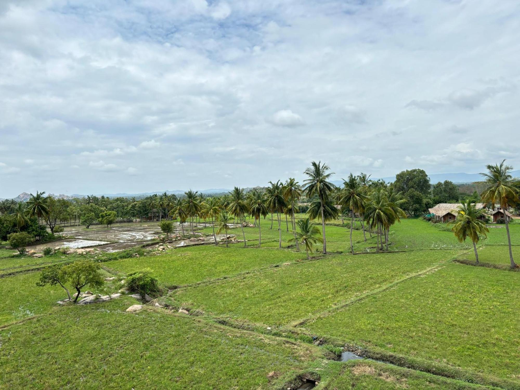 Cocogreen Hampi Bagian luar foto