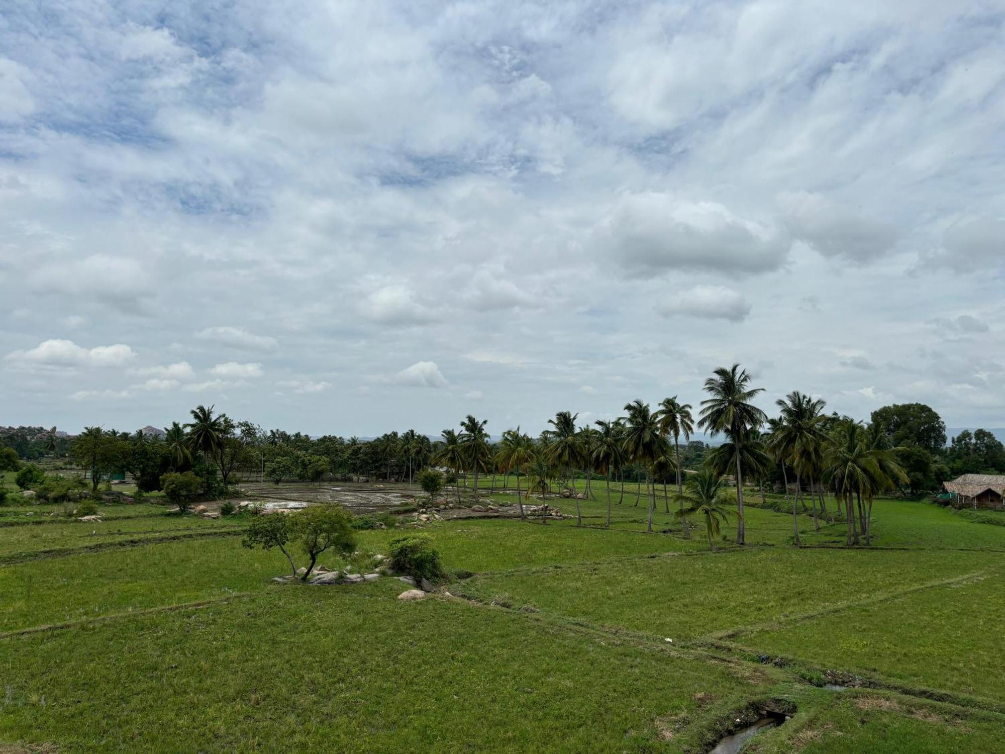 Cocogreen Hampi Bagian luar foto