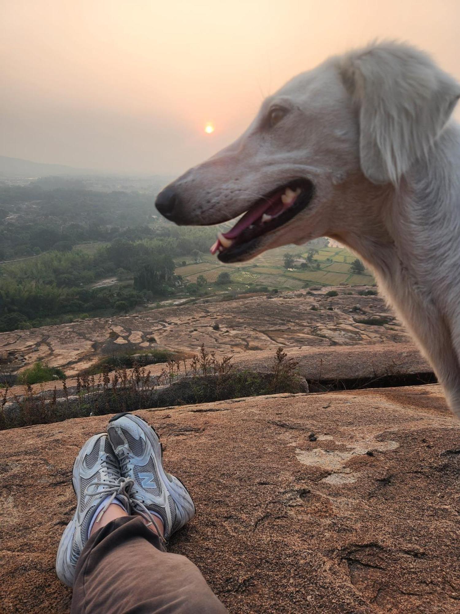 Cocogreen Hampi Bagian luar foto